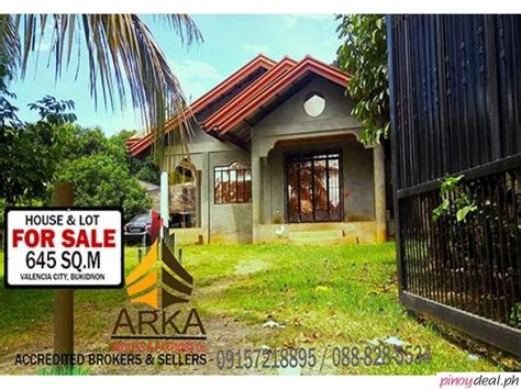 Properties For Sale in Vallencia, Bukidnon .